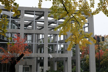 日本　埼玉の風景