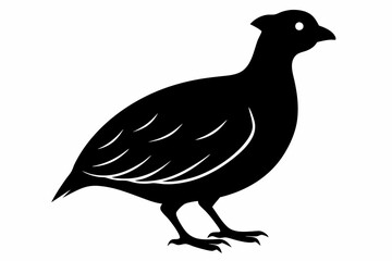 Obraz premium Bobwhite Quail Silhouette, Quail silhouette Vector illustration design.