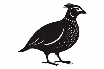 Fototapeta premium Bobwhite Quail Silhouette, Quail silhouette Vector illustration design.