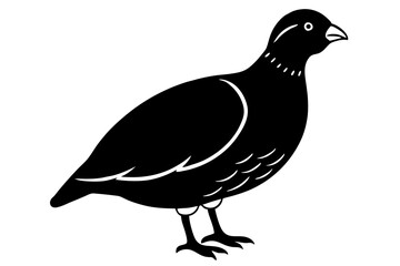 Obraz premium Bobwhite Quail Silhouette, Quail silhouette Vector illustration design.