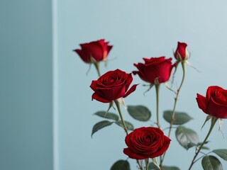 Obraz premium Red roses arranged on a blue background create a simple yet elegant design.