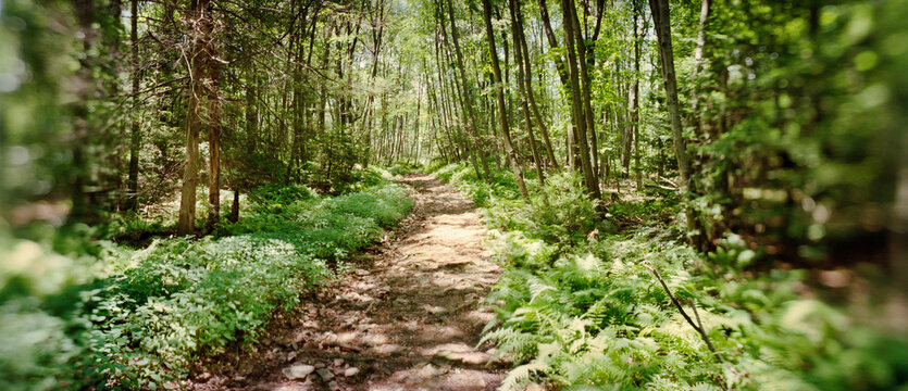 Panoramic view from of the Appalachian Trail, Blue Mountain, Appalachian Mountains, Pennsylvania, USA