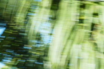 photography of motion blur abstract green texture background