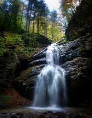 Cascada en medio de un bosque frondos, vista a ras de a cascada