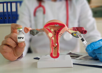 HPV vaccine alongside anatomical model of the female reproductive system
