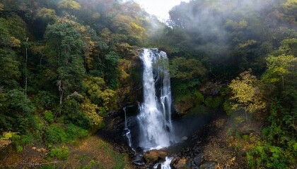 Fototapeta premium Cascada en medio de un bosque, vista aerea