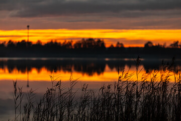 Obraz premium A Breathtaking Sunset Reflection Over Serene Calm Water with Silhouetted Grasses in the Foreground