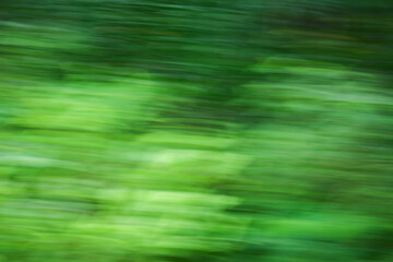 photography of motion blur abstract green texture background