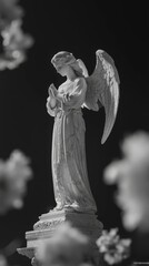 Discover the beauty of an angelic statue embracing serenity