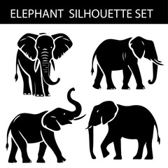 Fototapeta premium Elephant Silhouette Collection in Black and White