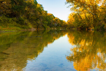 A serene river scene in autumn, featuring golden foliage reflected in clear, still water. The vibrant fall colors contrast beautifully with the lush green trees and the transparent riverbed