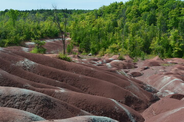 "Badlands" are areas of soft rock (soft shale and clay) that are easily eroded by water, devoid of vegetation and soil cover, which have become a rolling landscape with rounded hills and ravines.