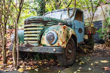 Vintage Rusty Truck Overgrown with Lush Greenery and Vines