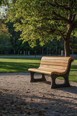 Fototapeta premium A Park scene with wooden bench in warm morning sunlight, surrounded by lush greenery and black lamppost. Intricate shadows on cobblestone pathway create depth, evoking tranquility & natural beauty.
