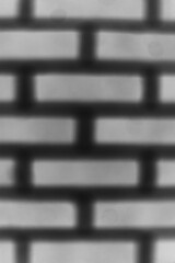 A vague view of a brick wall in black and white film negative.