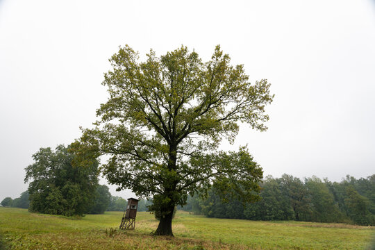 Landschaft in der Oberlausitz bei Weifa 4
