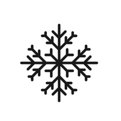 Fototapeta premium snowflake