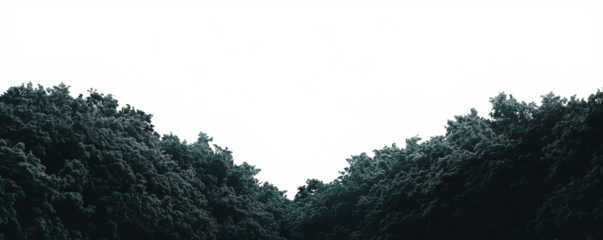 Transparent PNG image of dense tree outlines in deep green tones on a white background