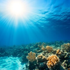 Fototapeta premium Sunlight streams through the clear blue water onto a vibrant coral reef.