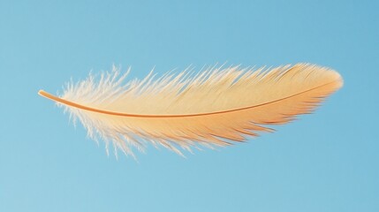 Obraz premium Light feather floating delicately in the air with a soft breeze