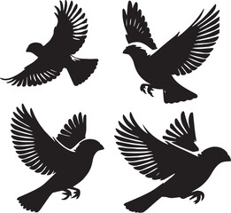 Fototapeta premium House finch flying poses on white background, logo design style