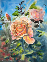 Watercolor rose painting. Hand-painted yellow and pink rose. Watercolor flower bed. Watercolor garden of roses.