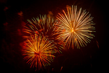 Obraz premium Red purple bright sparks of fireworks on the black sky
