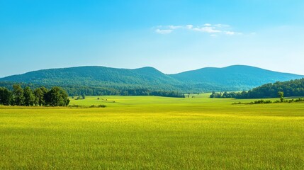 Fototapeta premium View green plains and beautiful mountain, clear skies, natural landscape panorama, destination background wallpaper AI generated image