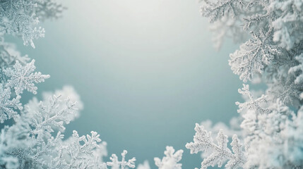 Delicate snow-laden branches create a frame around a soft blue background