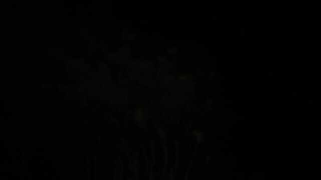 Silver lilac pink sparks scattering fireworks on the black night sky. General plan