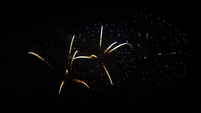 Silver purple green sparks scattering fireworks on the black night sky. General plan