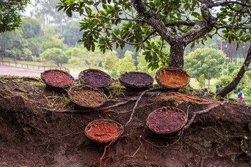Vibrant Earth Pigments in Seven Colored Earth, Mauritius