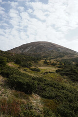 Fototapeta premium Cloud in a top mountain. Fog on the peak