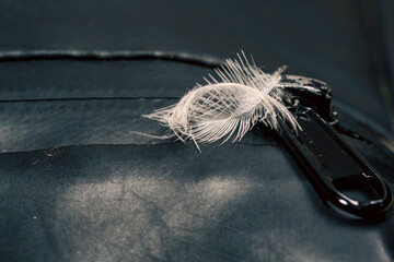 Eagle feathers that fell on the bag, close up of a head of a horse