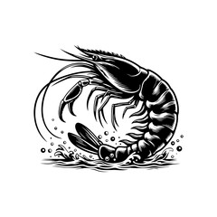 Shrimp silhouette isolated on white background.