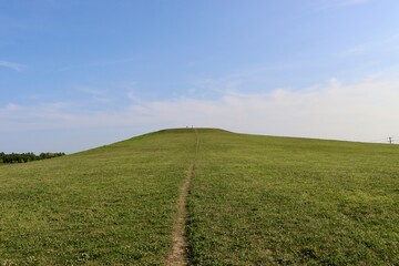 Obraz premium The green grass hill in the country on a sunny day.