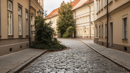 Obraz premium A Serene and Charming Quiet Street in a Czech City, Showcasing Vintage Architecture and Tranquil Atmosphere, Perfect for Urban Exploration and Travel Photography
