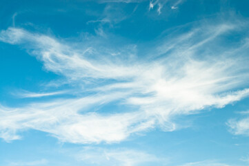 Fototapeta premium blue sky and feather clouds view from below