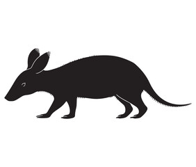 Obraz premium Silhouette of a aardvark