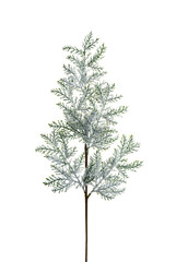 Christmas decoration of white snow and pine cone isolated on white background