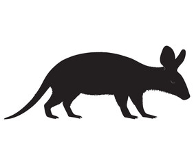 Obraz premium Silhouette of a aardvark