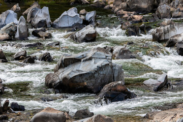 rocks and flowing water in the autumn stream