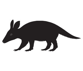 Obraz premium Silhouette of a aardvark