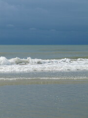 Storm Sea and Everyone Fleas