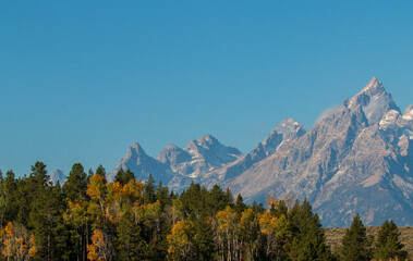 Obraz premium Scenic Landscape in Grand Teton National Park Wyoming in Autumn
