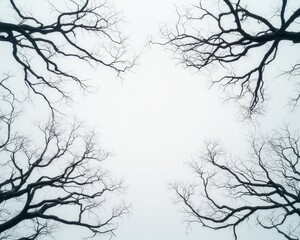 Obraz premium Ethereal Winter Symmetry Serene Square Frame of Bare Tree Branches in Overcast Sky