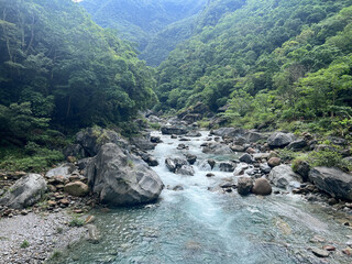 Peaceful River Flowing Through Lush Green Forest Landscape