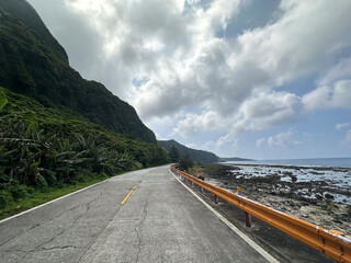 Scenic Coastal Road with Lush Greenery and Ocean View