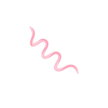 recommend clip art: Treponema pallidum Illustration