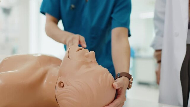 Hands, students and doctor with medical simulation model for demonstration, check pulse and CPR in Japan. Closeup, people and internship for training with human dummy for healthcare education